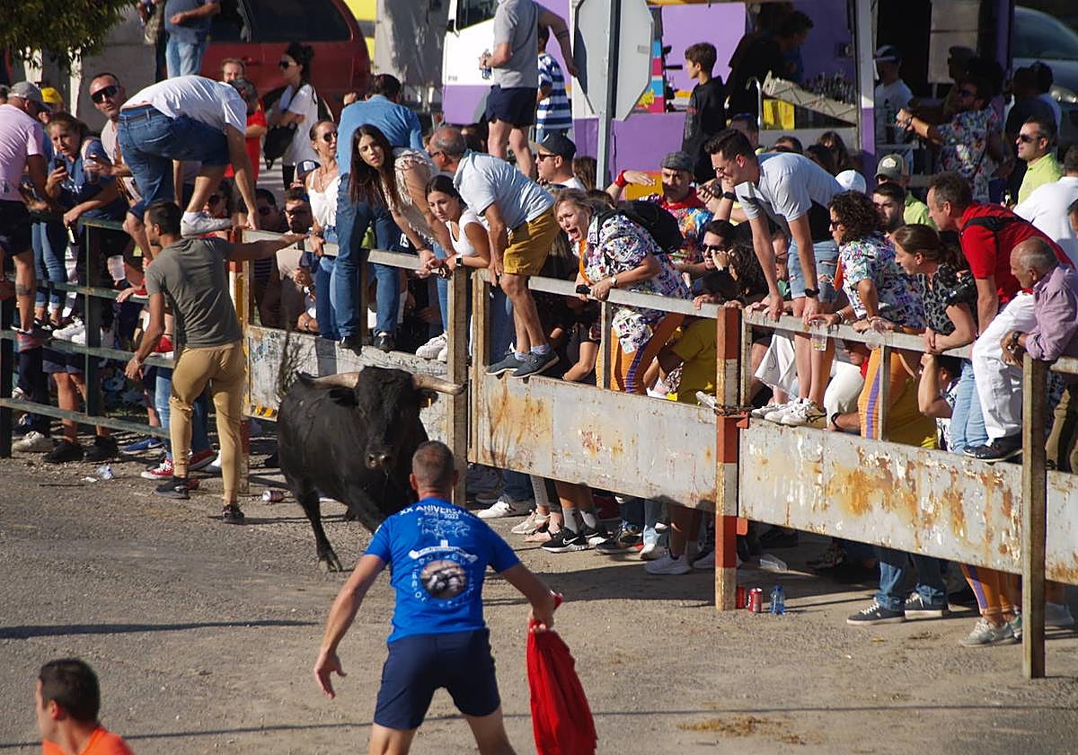 Encierro del 27 de septiembre en Olmedo, con algunos menores entre el público.