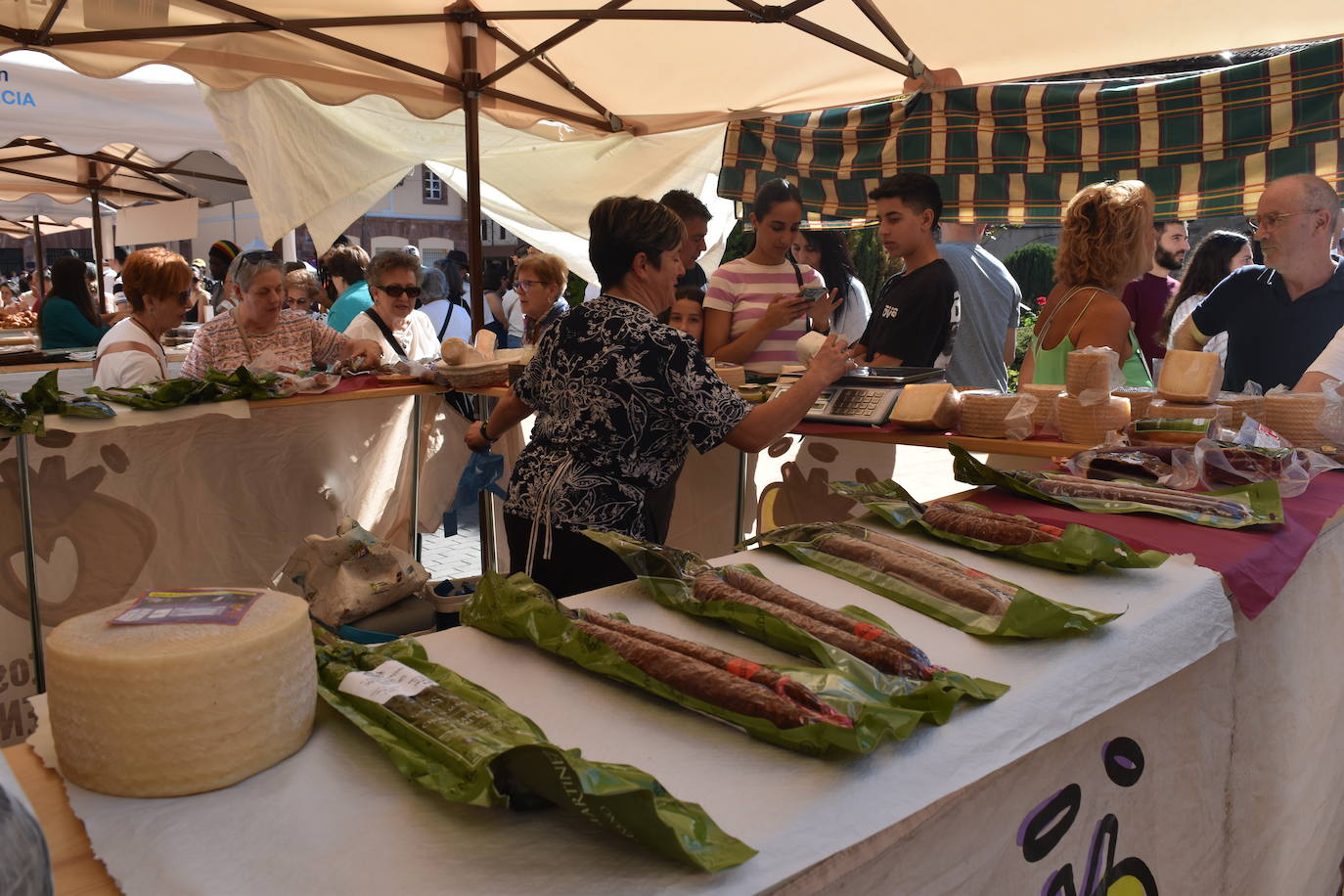 Cervera se tiñe de tradiciones en el Día de la Provincia