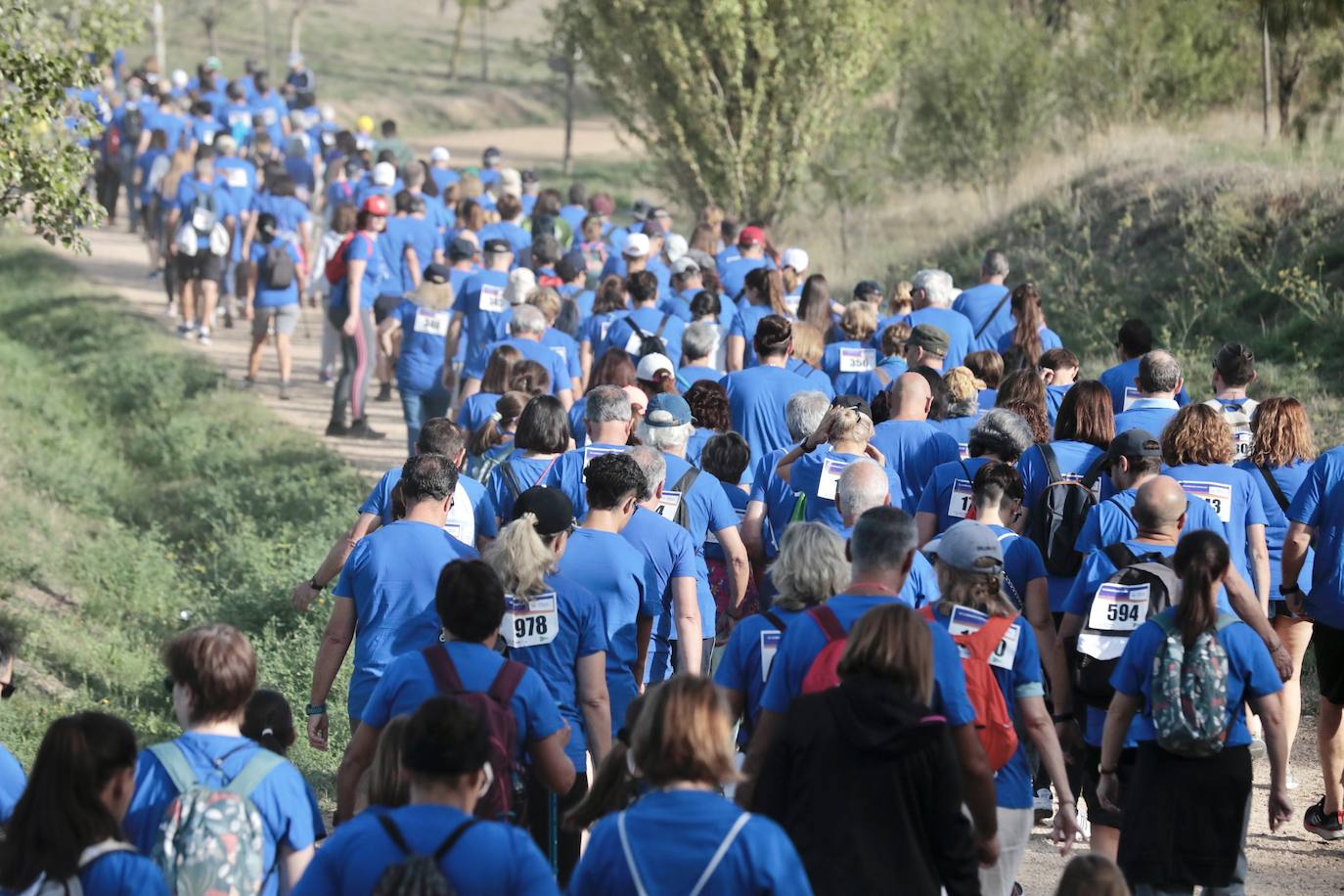 El éxito de participación en la Caminata Popular del Banco de Alimentos, en imágenes