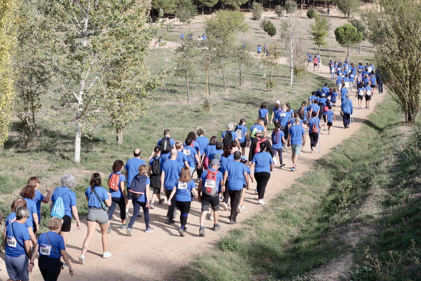 El éxito de participación en la Caminata Popular del Banco de Alimentos, en imágenes