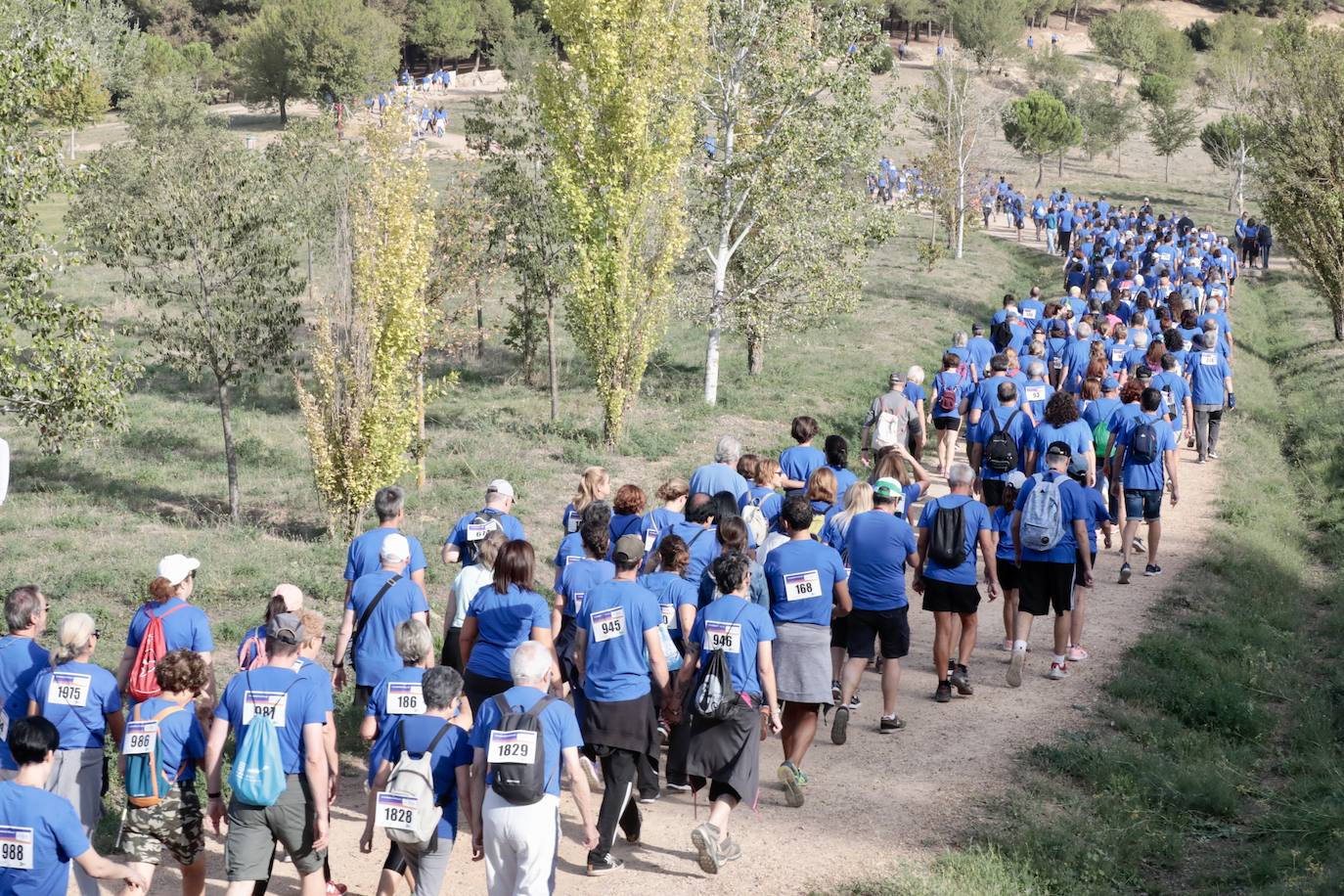 El éxito de participación en la Caminata Popular del Banco de Alimentos, en imágenes