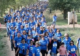 La marea azul del Banco de Alimentos se adentra en el Parque de las Contiendas.