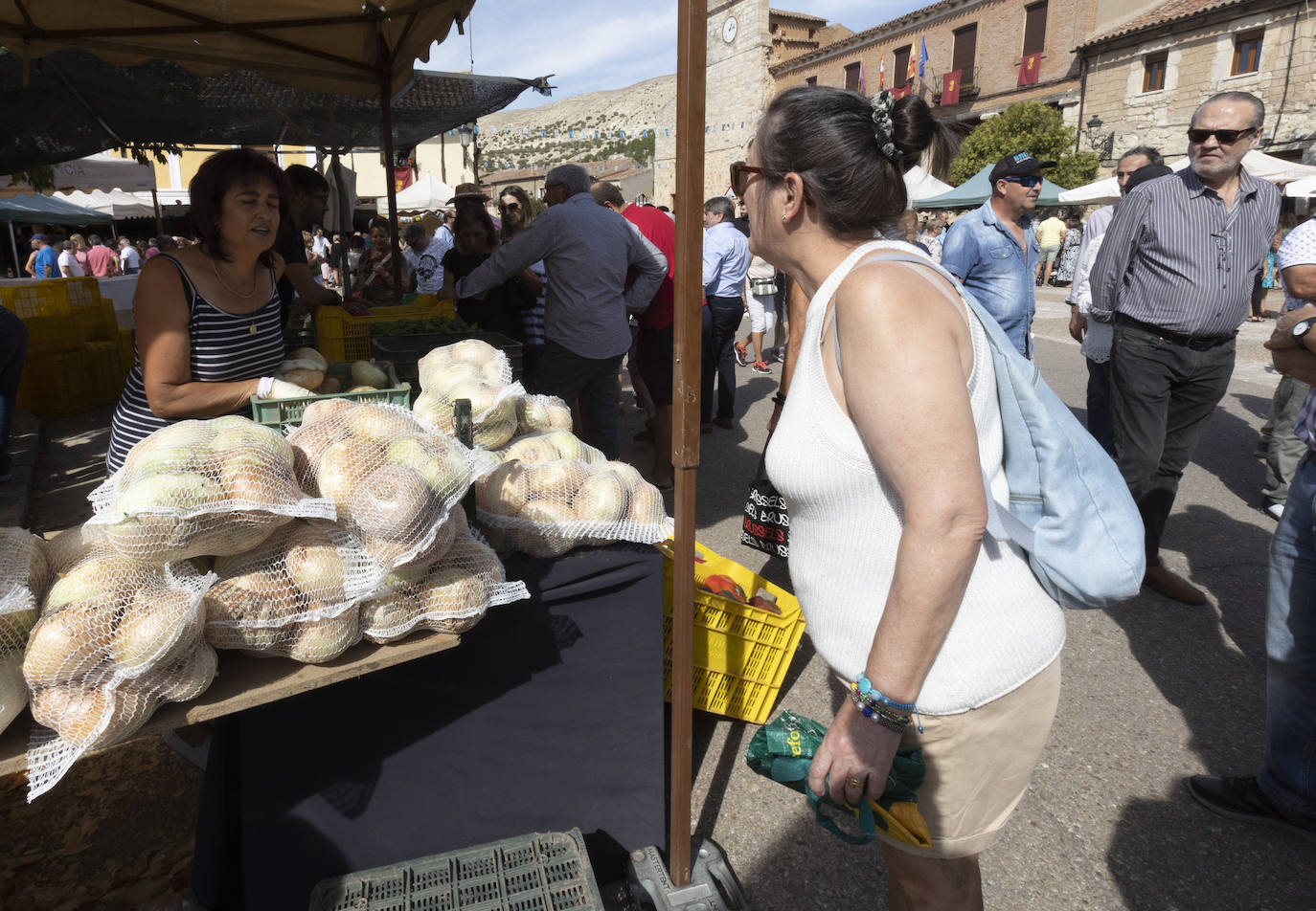 Palenzuela presume de su cebolla horcal