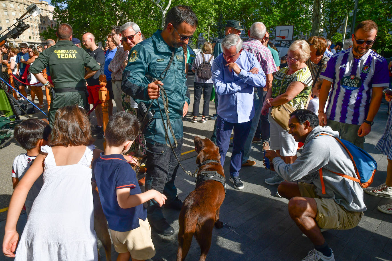 En imágenes, la exposición de la Guardia Civil en la Acera Recoletos