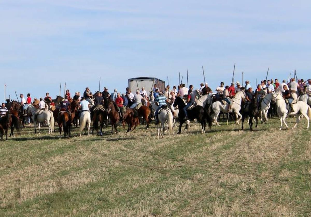 Decenas de caballistas participan en el encierro de Moraleja de Coca, este domingo.