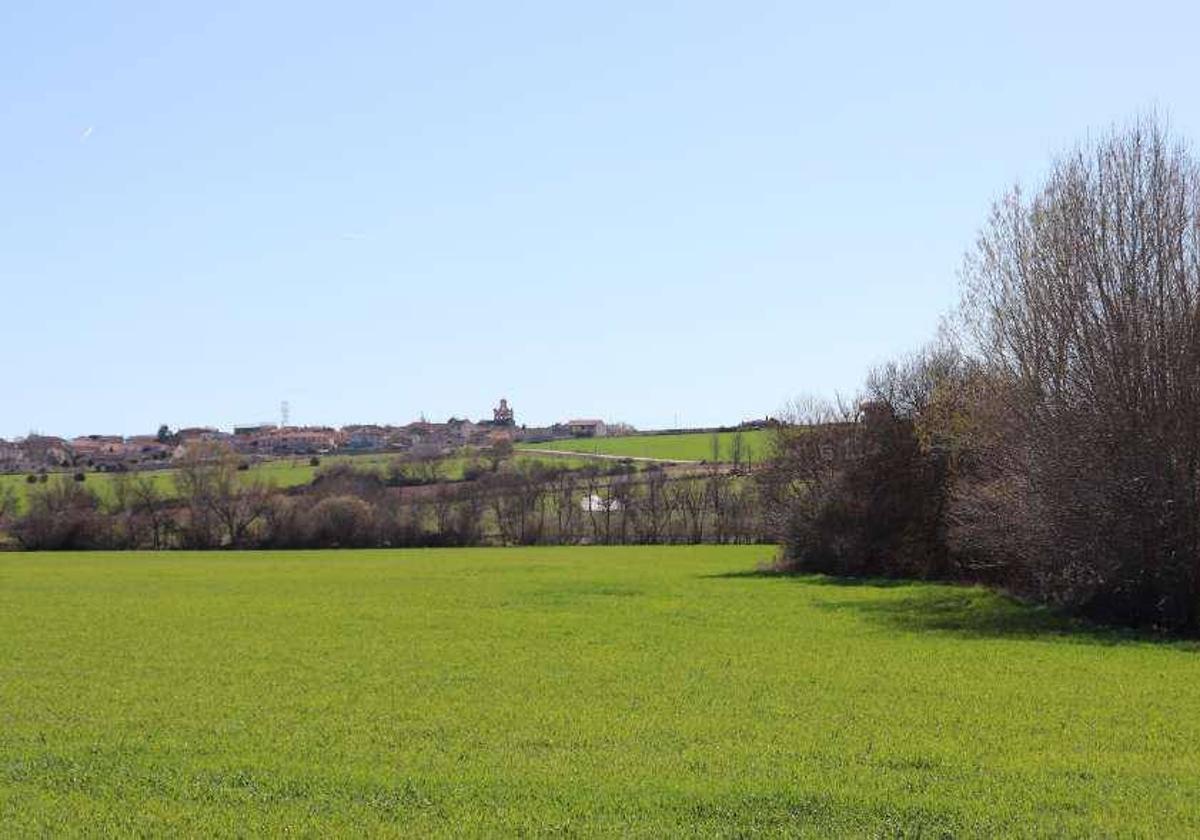 Vega del río Duratón a su paso por Duruelo, área aledaña a los terrenos previstos para la mina.