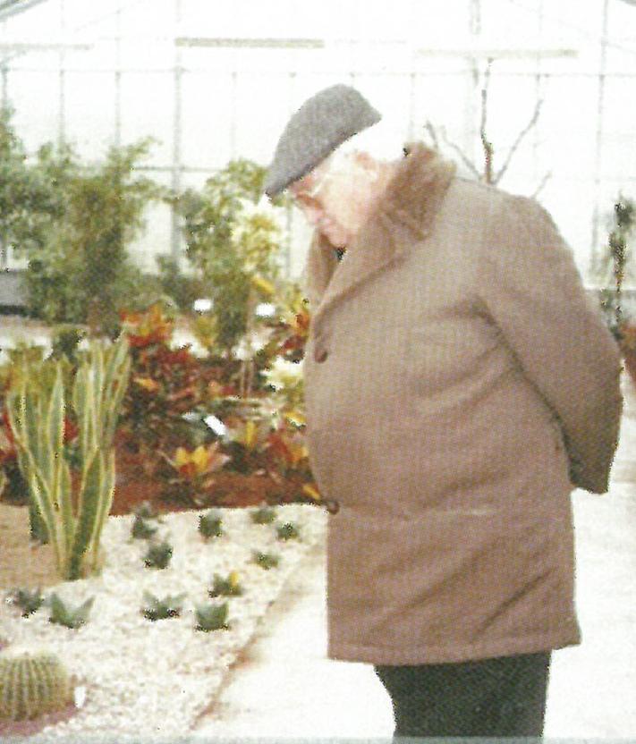 Imagen secundaria 2 - Arriba, vivero de Manuel Gimeno en Sabiñán. Abajo, María Luisa Casares y Jesús Gimeno, abuelos de los actuales propietarios del Centro de Jardinería Viveros Gimeno.