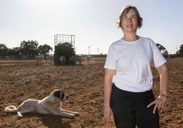 Vecinos a la sombra de los aerogeneradores: entre la «asfixia» y la rentabilidad