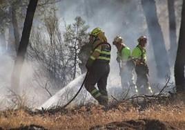 Bomberos forestales trabajan para sofocar un incendio en un pinar.