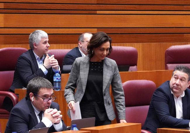 Alicia González, procuradora de UPL, accede a su escaño de las Cortes.