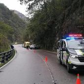 Fallece un hombre tras caer una roca sobre su coche junto al Cares