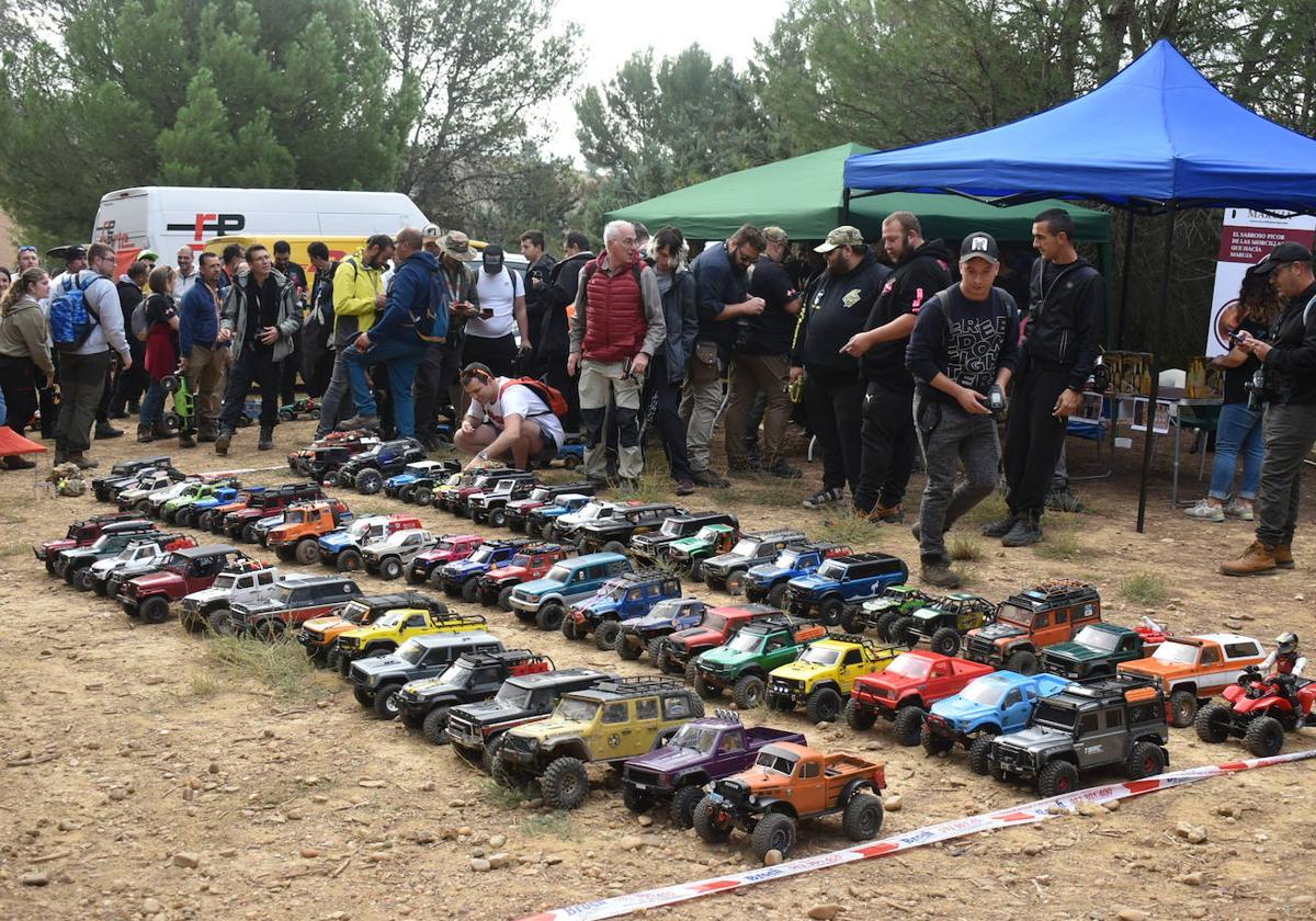 Participantes en la quedada de coches radiocontrol de Cigales.