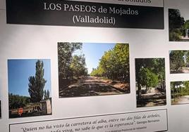 El Círculo Cultural de Mojados muestra los 'paseos' por la localidad