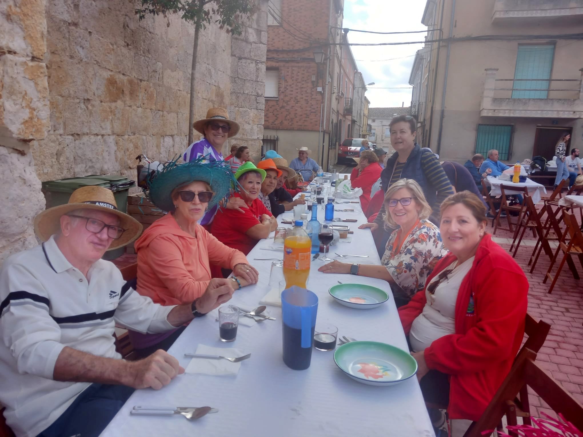 XV Fiesta de la Vendimia en Castrillo de Don Juan