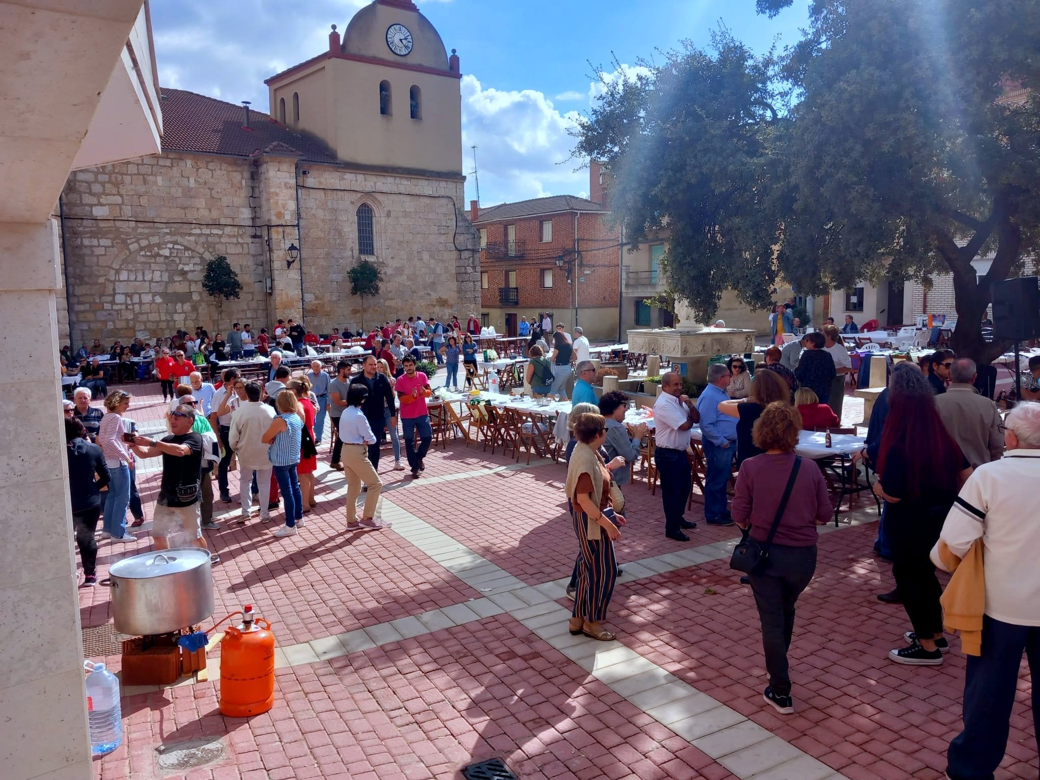 XV Fiesta de la Vendimia en Castrillo de Don Juan