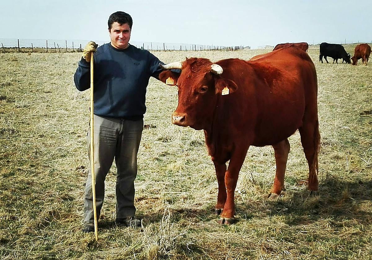 El ganadero Adrián Gómez, junto a una de sus vacas.