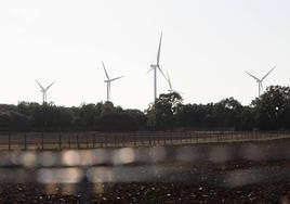 Bosque de aerogeneradores y torretas eléctricas en la provincia de Valladolid.