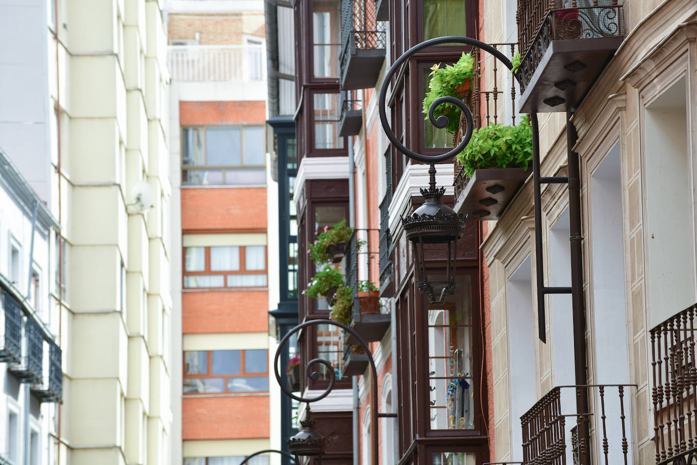 Callejeando por Valladolid: calle Núñez de Arce