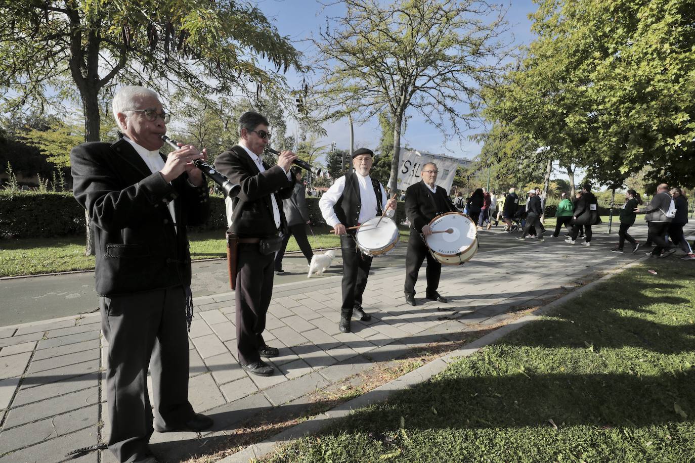 Marcha por el daño cerebral en Valladolid