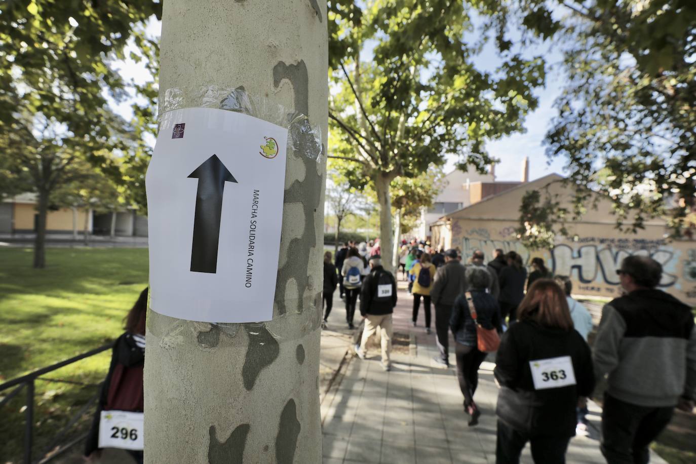 Marcha por el daño cerebral en Valladolid