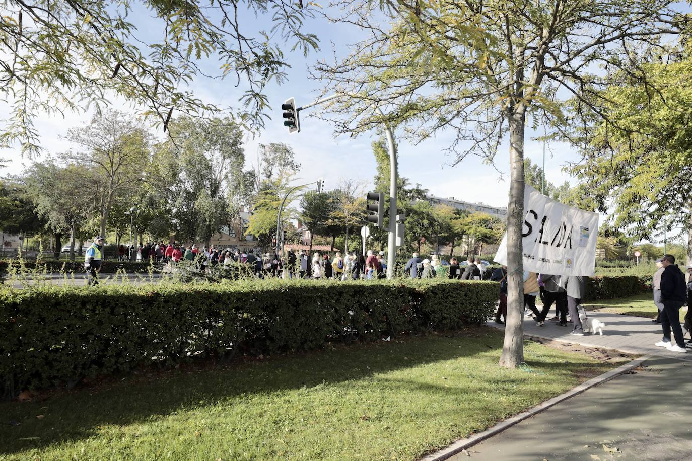 Marcha por el daño cerebral en Valladolid