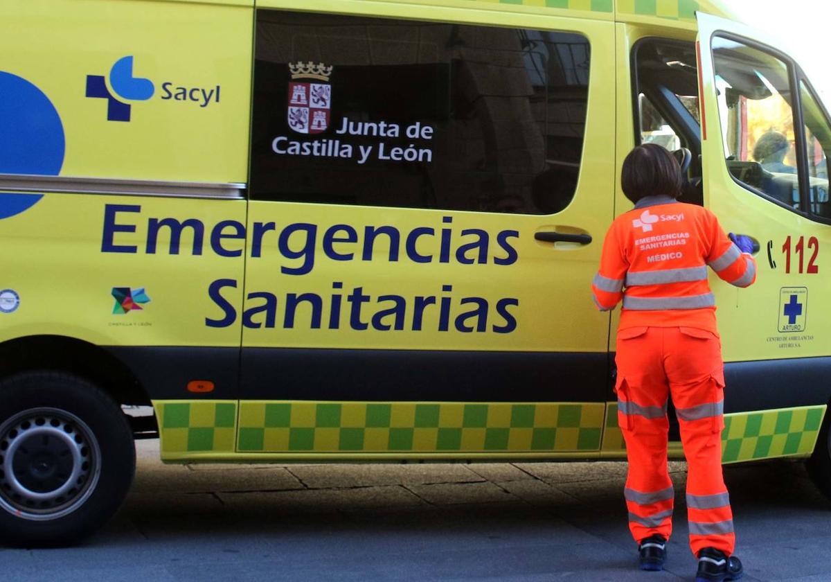 Muere una mujer de 27 años tras ser atacada por una jauría de perros en Zamora