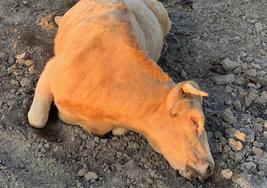 La Consejería denuncia que el Ministerio «abandona» a los ganaderos