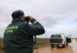 Agentes de la Guardia Civil buscan al séptimo animal, capturado a mediodía.