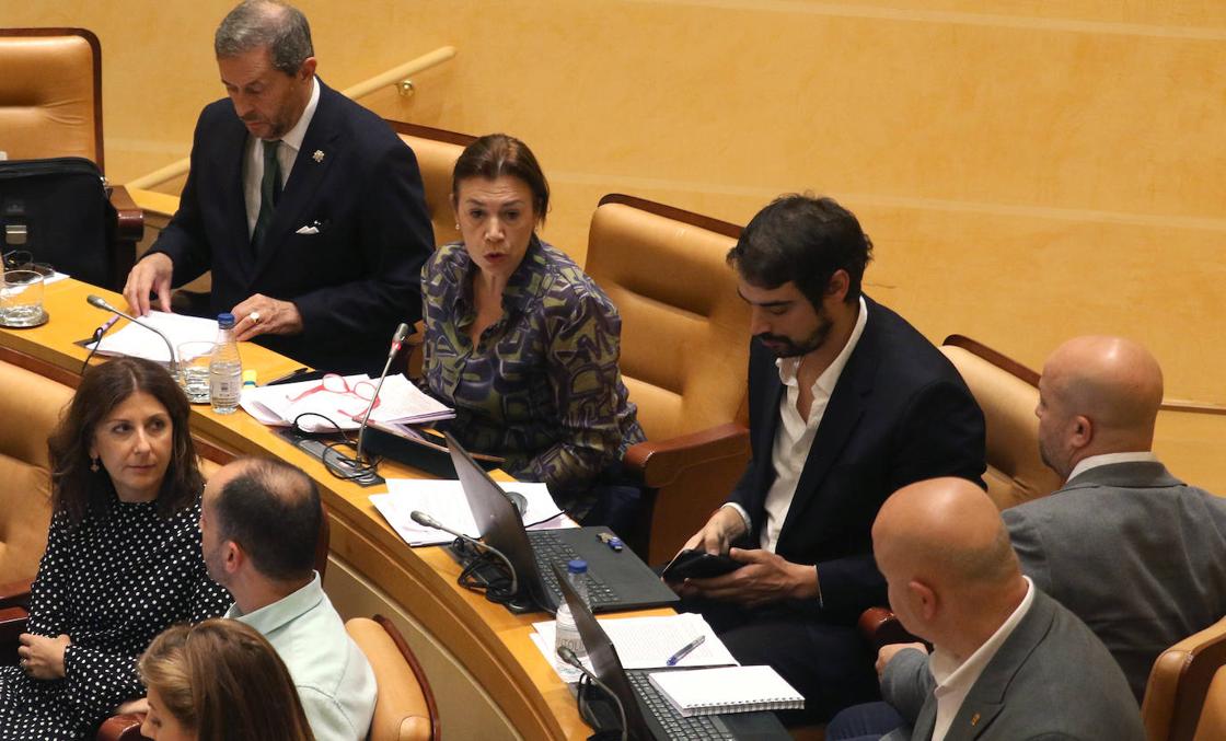 El pleno en imágenes