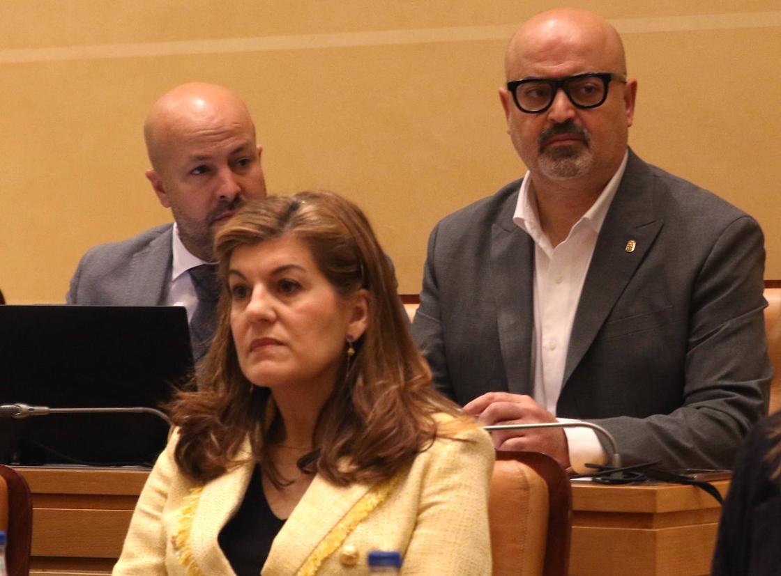 El pleno en imágenes