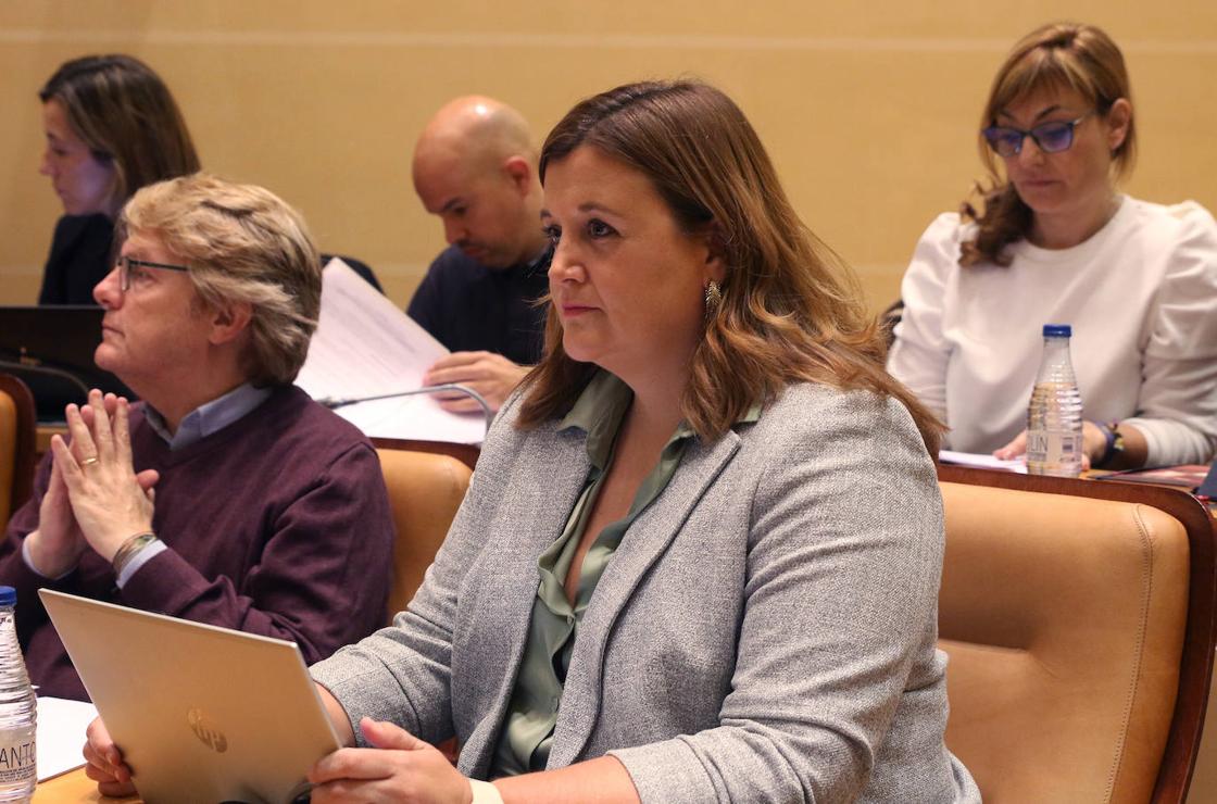 El pleno en imágenes