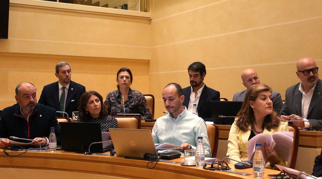 El pleno en imágenes