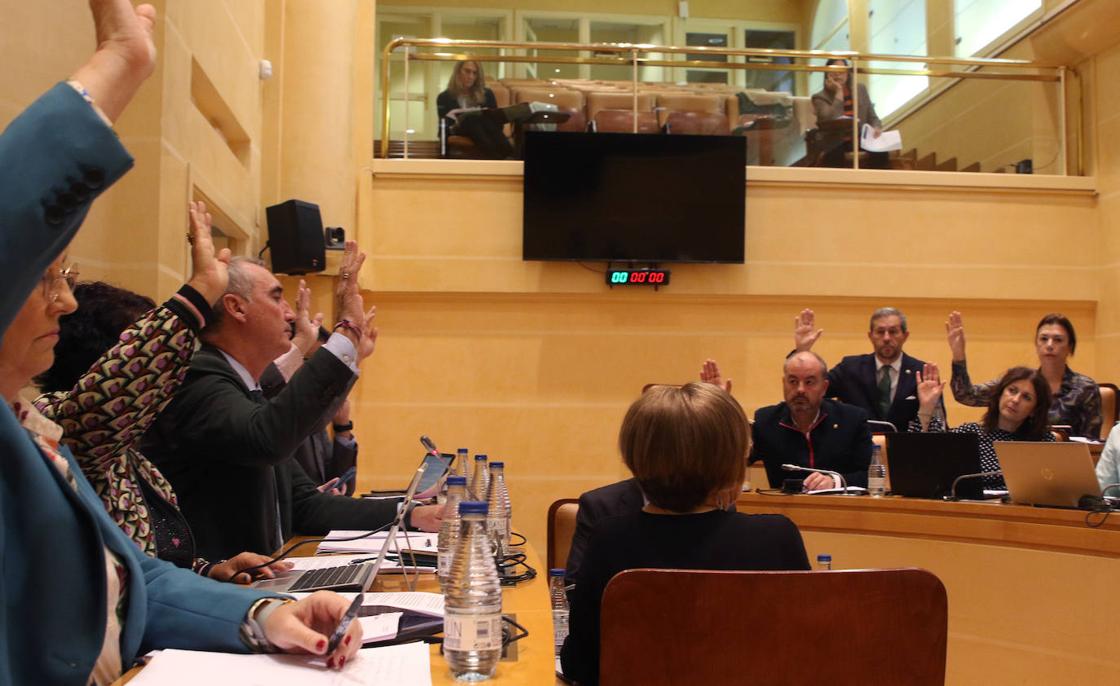 El pleno en imágenes