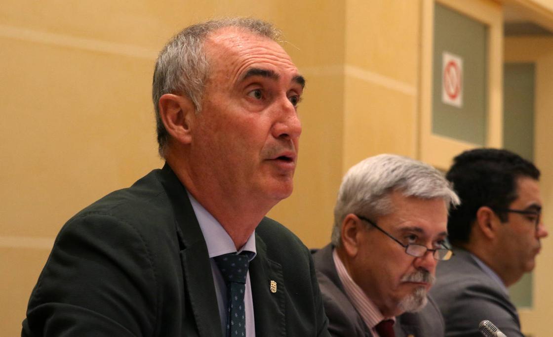 El pleno en imágenes