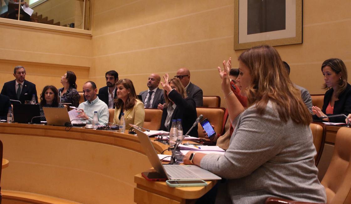 El pleno en imágenes