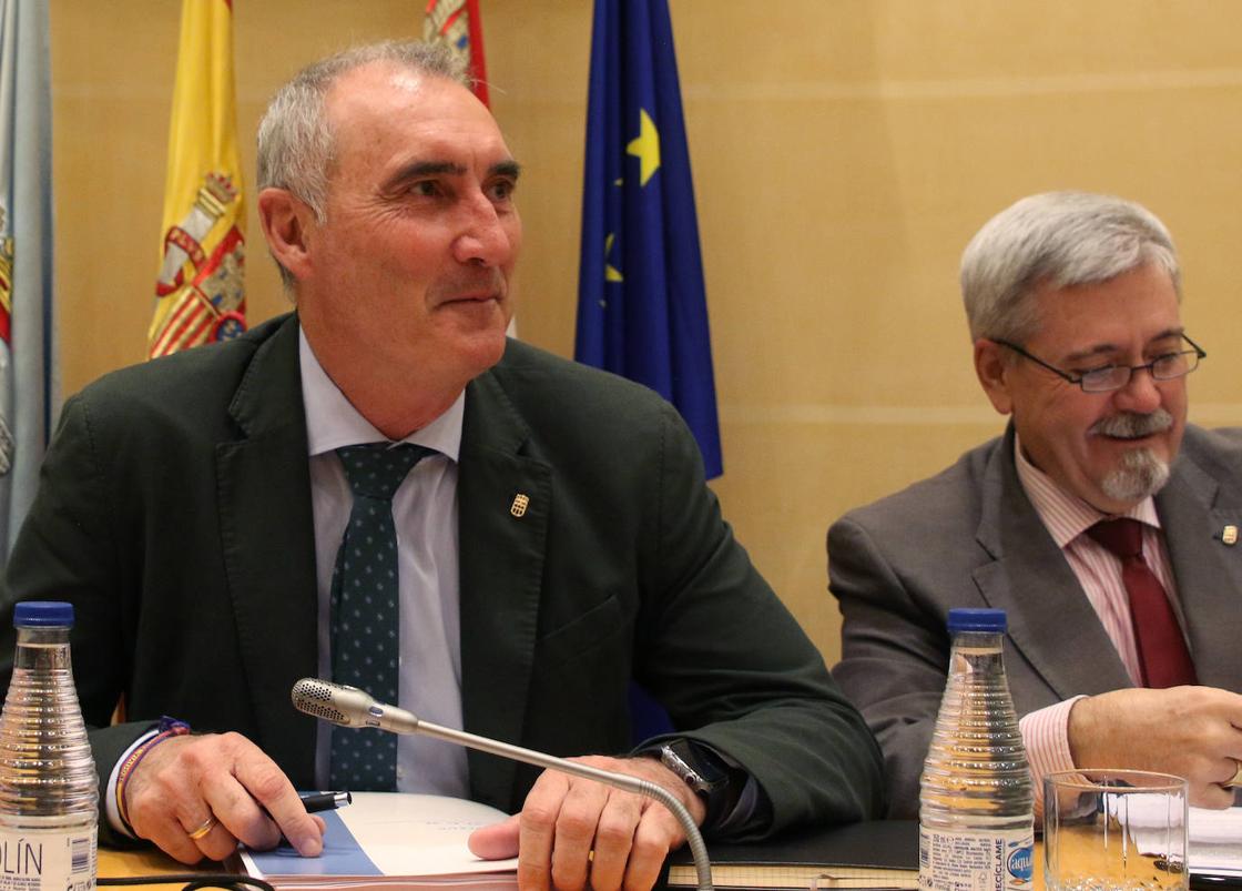 El pleno en imágenes