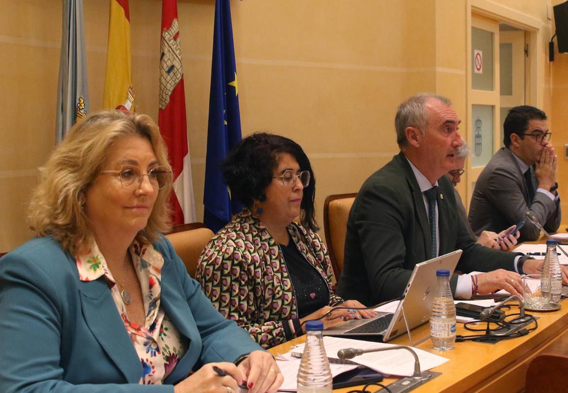 El pleno en imágenes