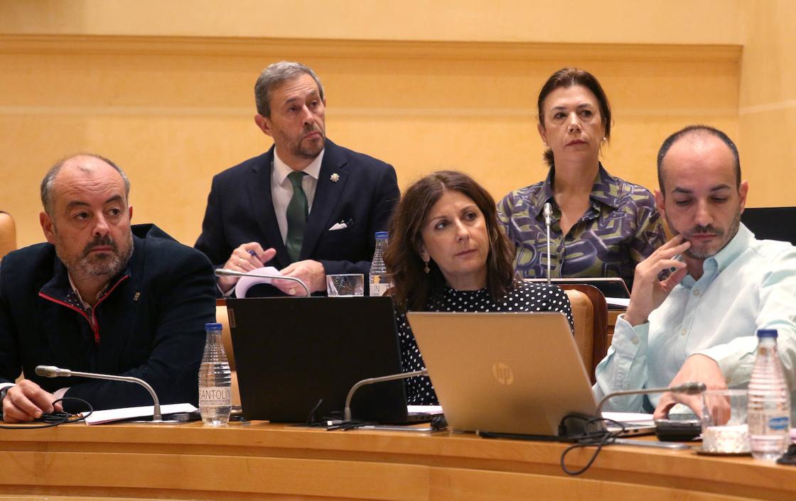 El pleno en imágenes