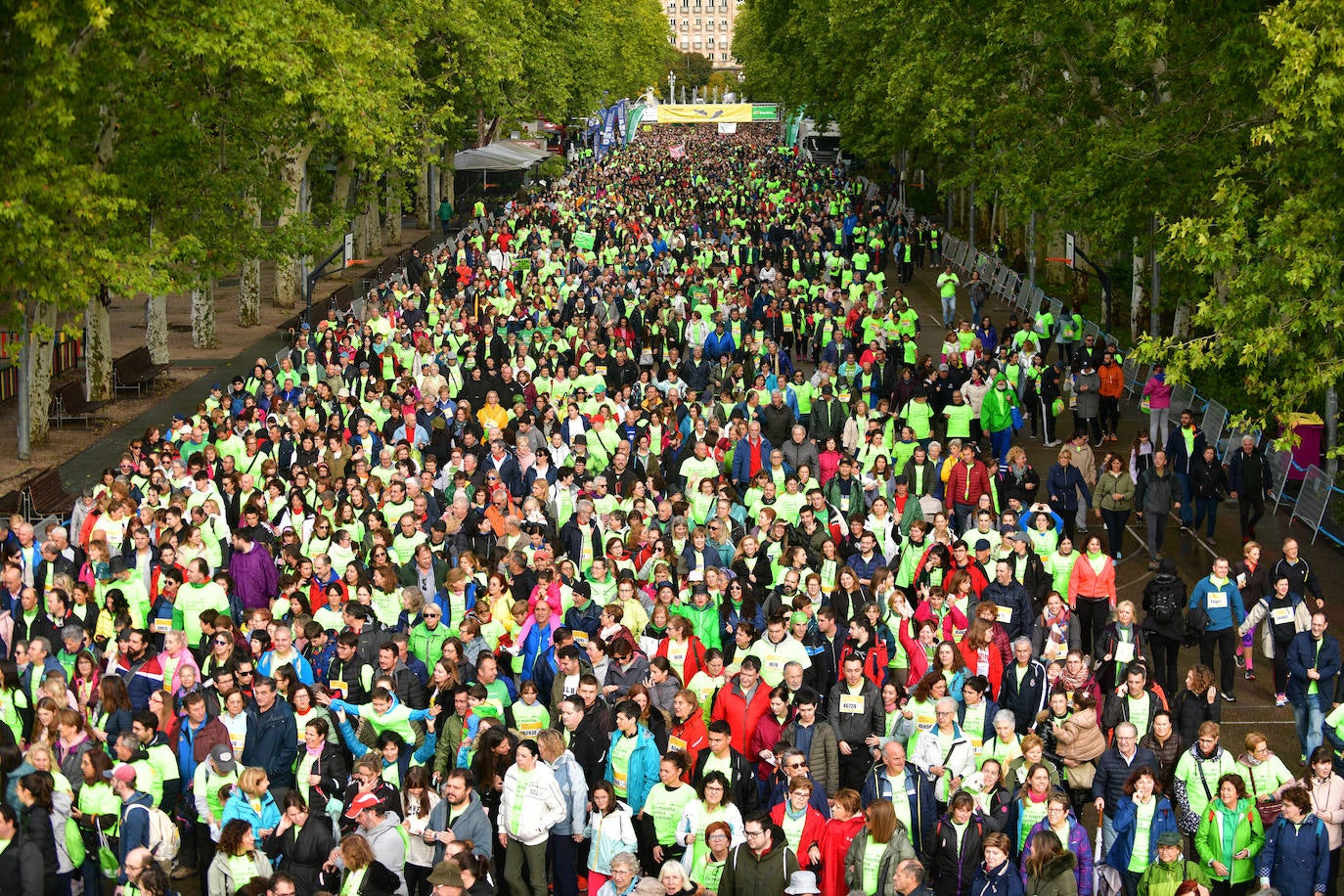 En imágenes, la XII Marcha contra el Cáncer de Valladolid (2/5)