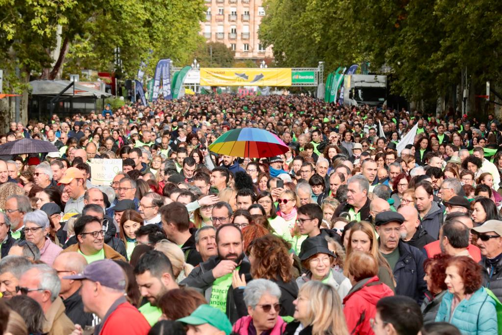 Participantes en la convocatoria de este 29 de octubre en Valladolid.