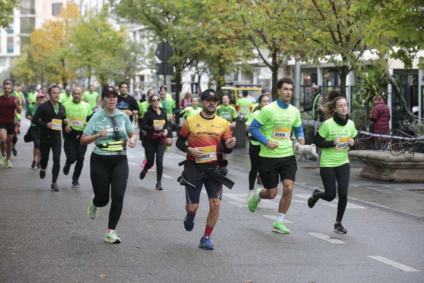 En imágenes, la XII Marcha contra el Cáncer de Valladolid (4/5)