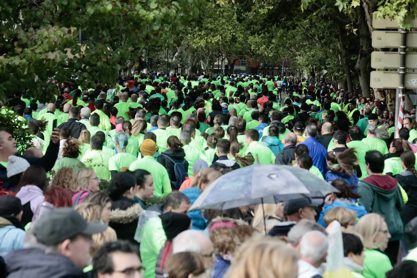 En imágenes, la XII Marcha contra el Cáncer de Valladolid (4/5)