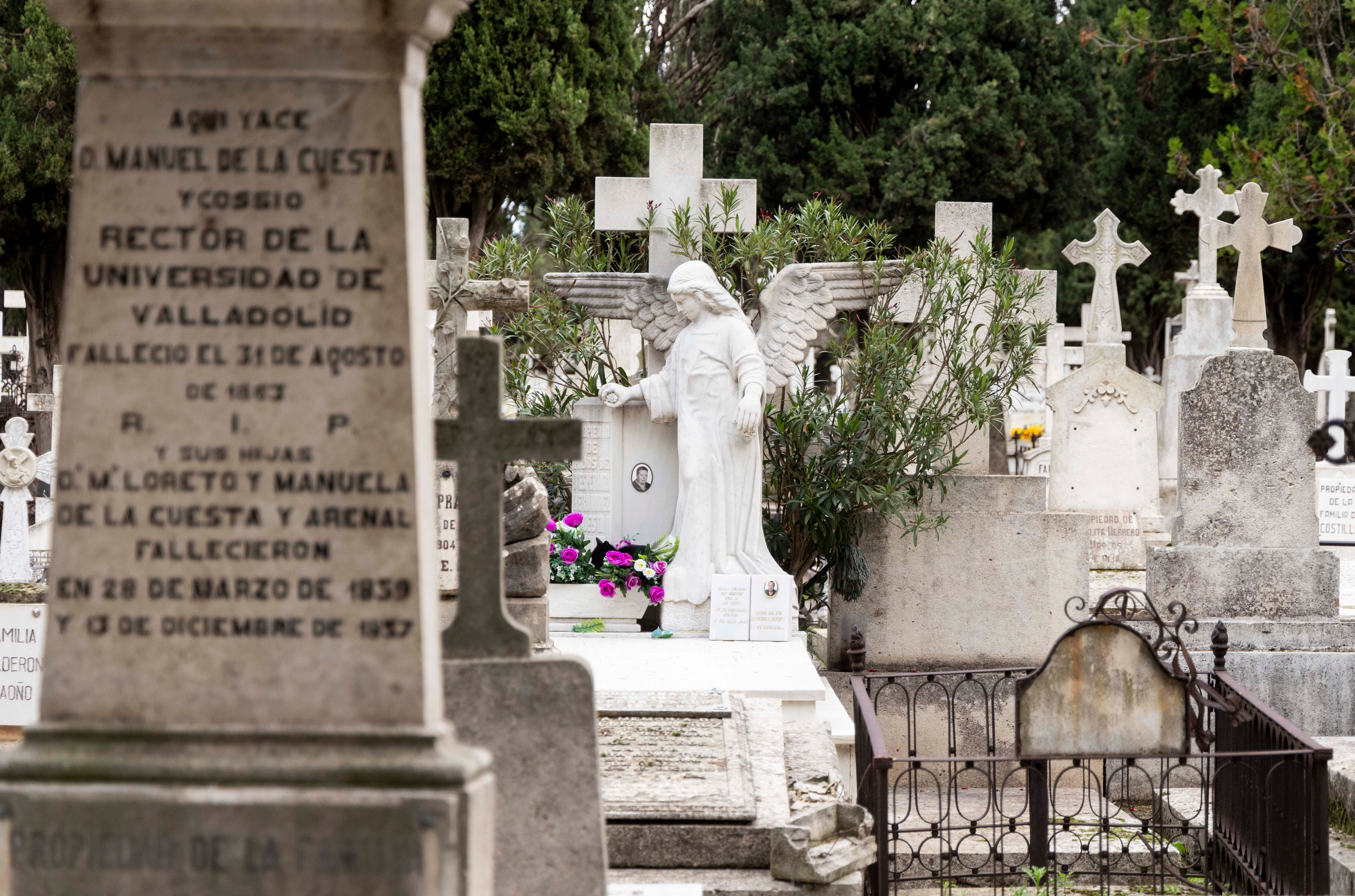 La construcción inicial conocida como cementerio histórico ocupaba cinco hectáreas. Actualmente, tras diversas ampliaciones, el cementerio del Carmen ocupa treinta y cinco hectáreas