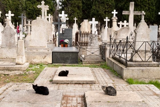 Descubre las tumbas del cementerio de El Carmen: de Miguel Íscar a Delibes