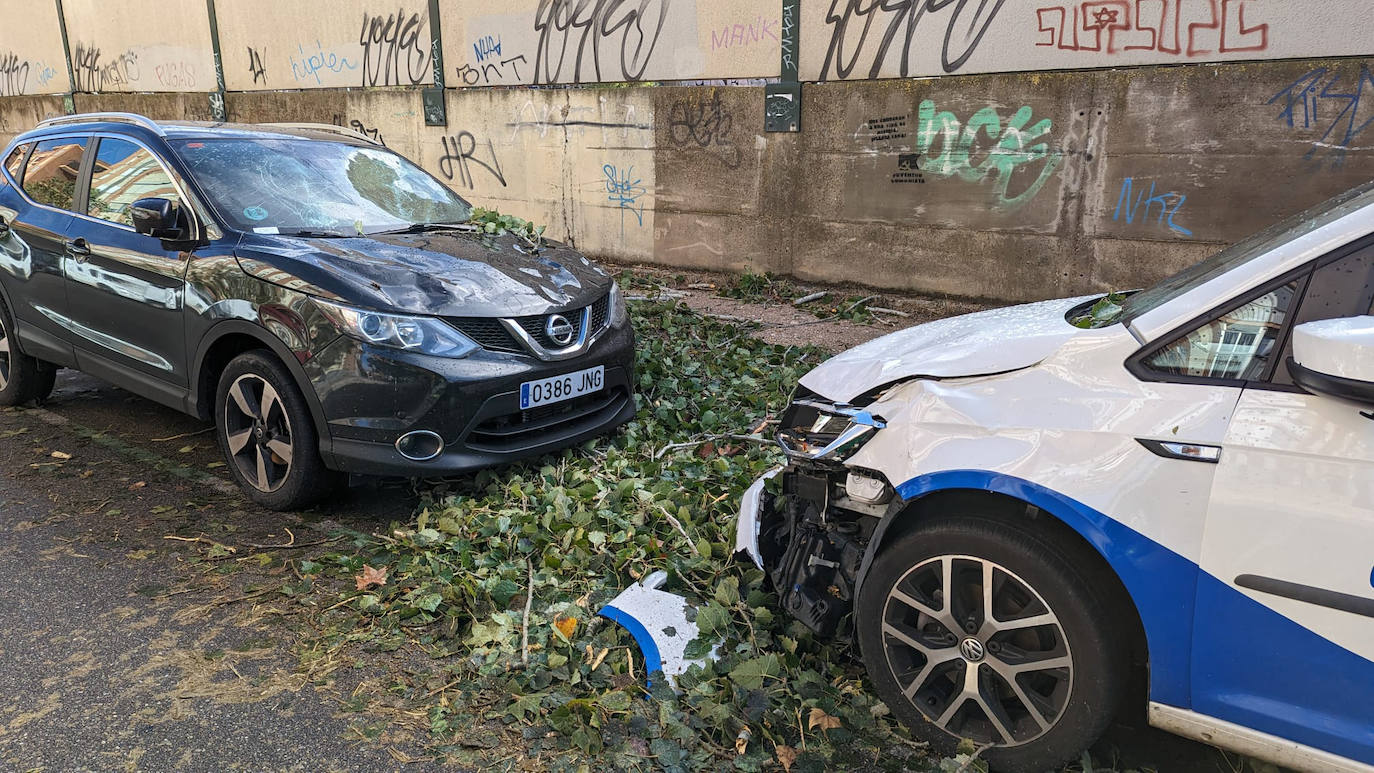 Un vehículo destrozado por las ramas de los árboles en la avenida de Irún.