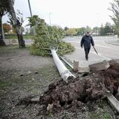 Más de cien incidencias tras el paso del temporal Ciarán por Valladolid