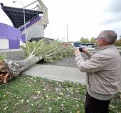 El lado bueno del temporal: las rachas de viento hunden el precio de la luz