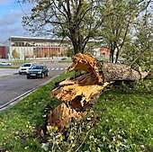 Valladolid notifica al 112 medio centenar de incidencias por el paso del temporal