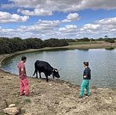 Las ayudas por EHE llegarán en diciembre, con un máximo de 15.000 euros