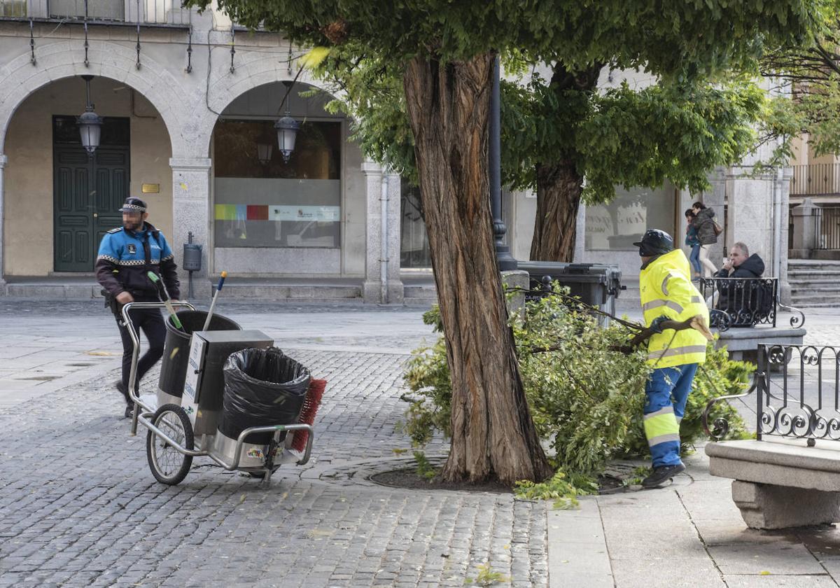 Un operario y un Policía Local atienden una incidencia por la caída de una rama en la Plaza Mayor.